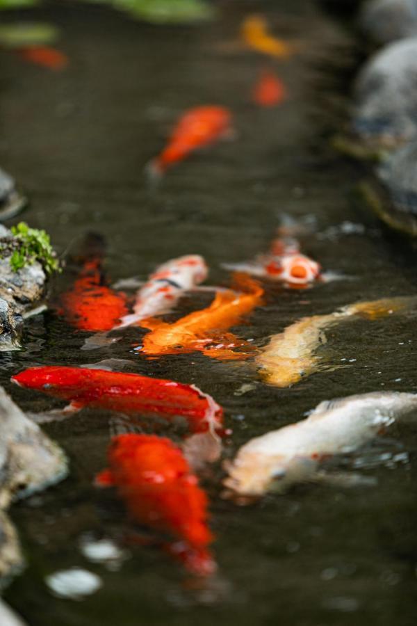 花蓮市ユーエ ハウスアパートメント エクステリア 写真